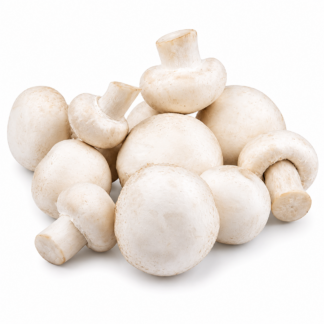 White button Mushroom Punnet