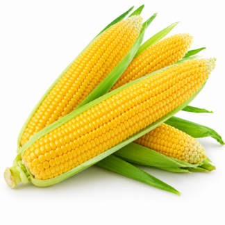 Sweet Corn Punnet